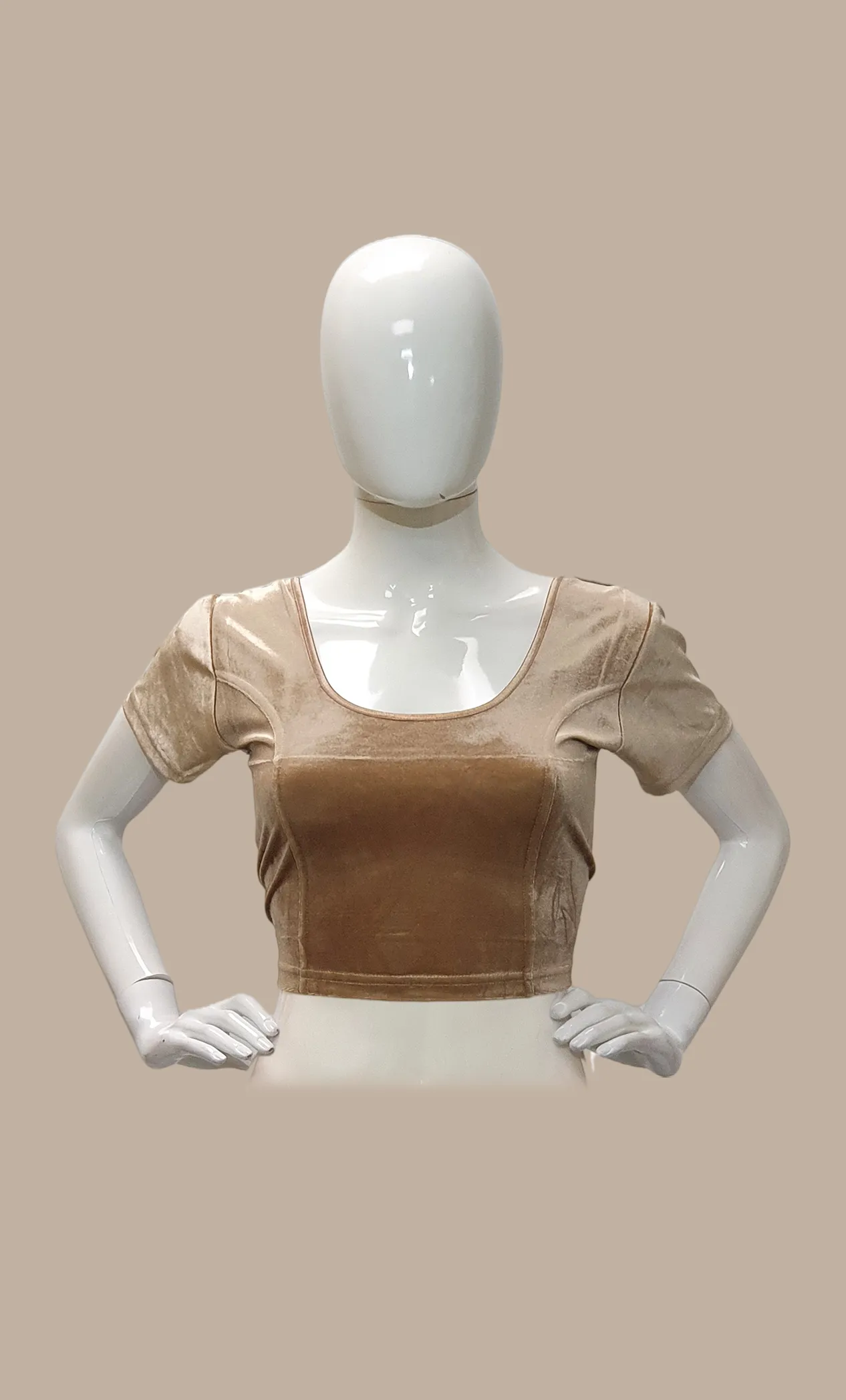 Velvet Bronze Stretch Blouse